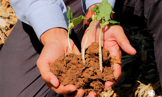 Homem segurando um broto