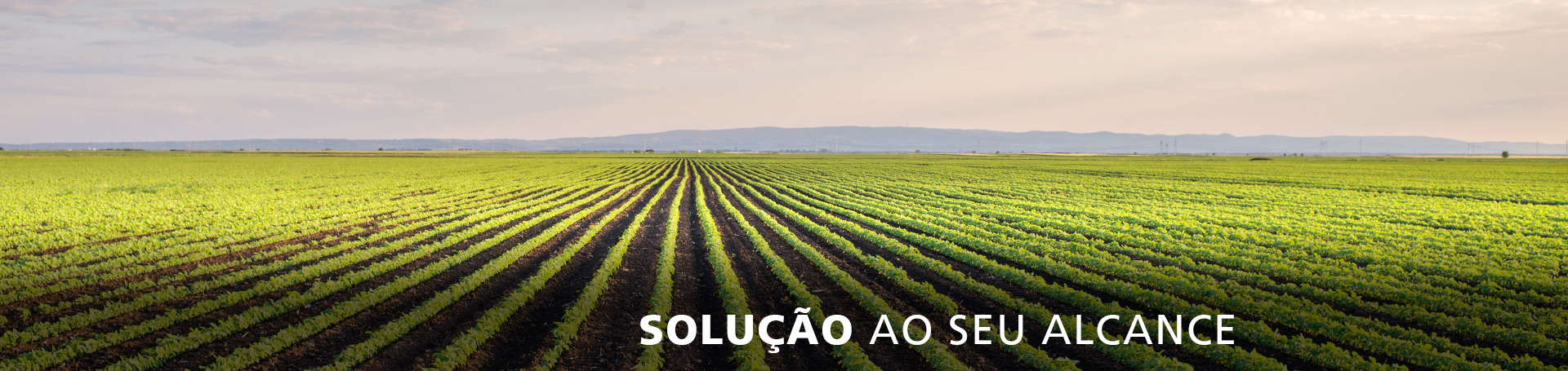 Solução ao seu alcance